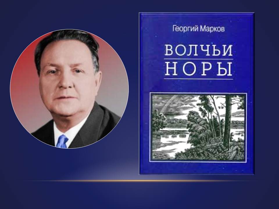 библиотеки томска