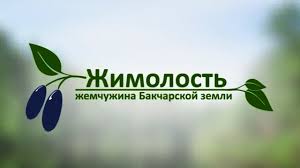 поисковики и каталоги