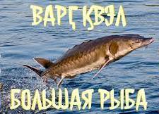 экологическая страница