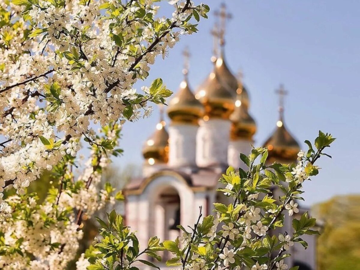 администрация томской области