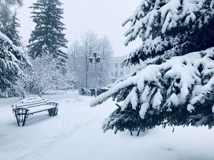 школа библиотечной инноватики
